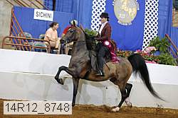 14r12_8748 proof