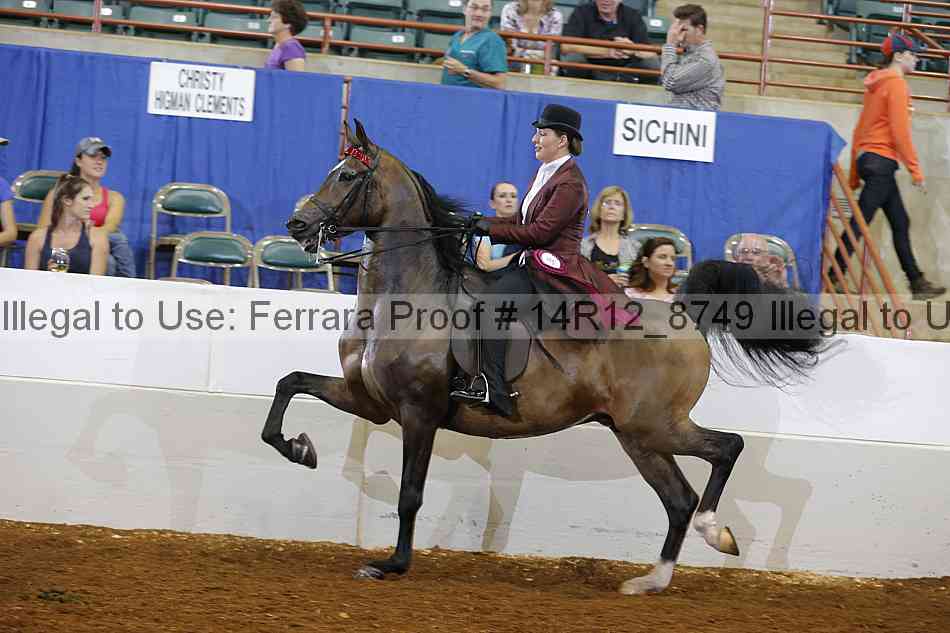 Proof 14r12_8749