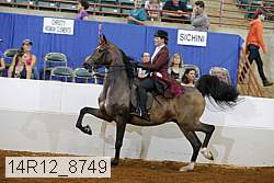 14r12_8749 proof