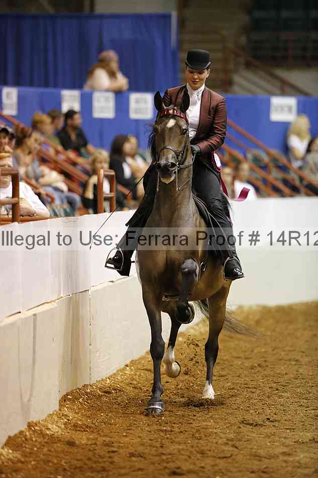Proof 14r12_8751