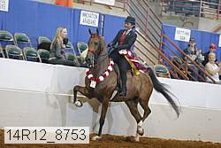 14r12_8753 proof