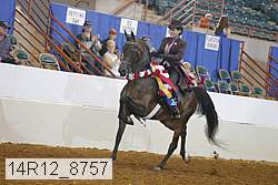 14r12_8757 proof