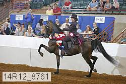 14r12_8761 proof