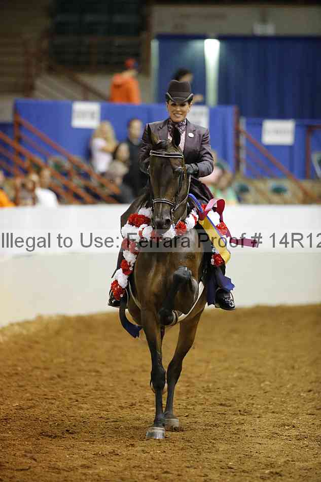Proof 14r12_8762