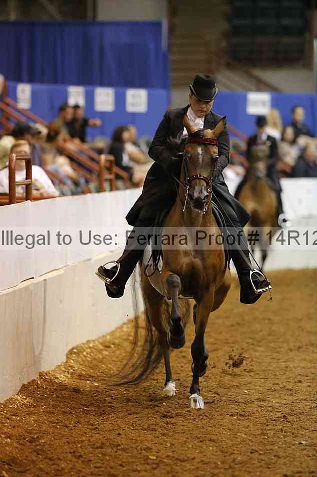 Proof 14r12_8769