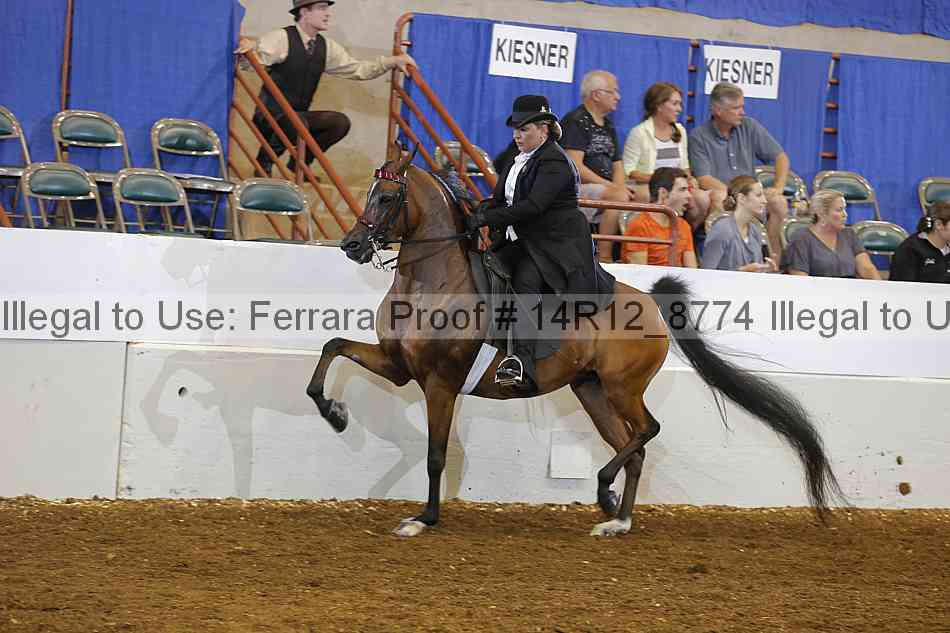 Proof 14r12_8774