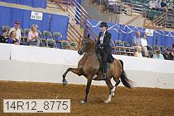 14r12_8775 proof