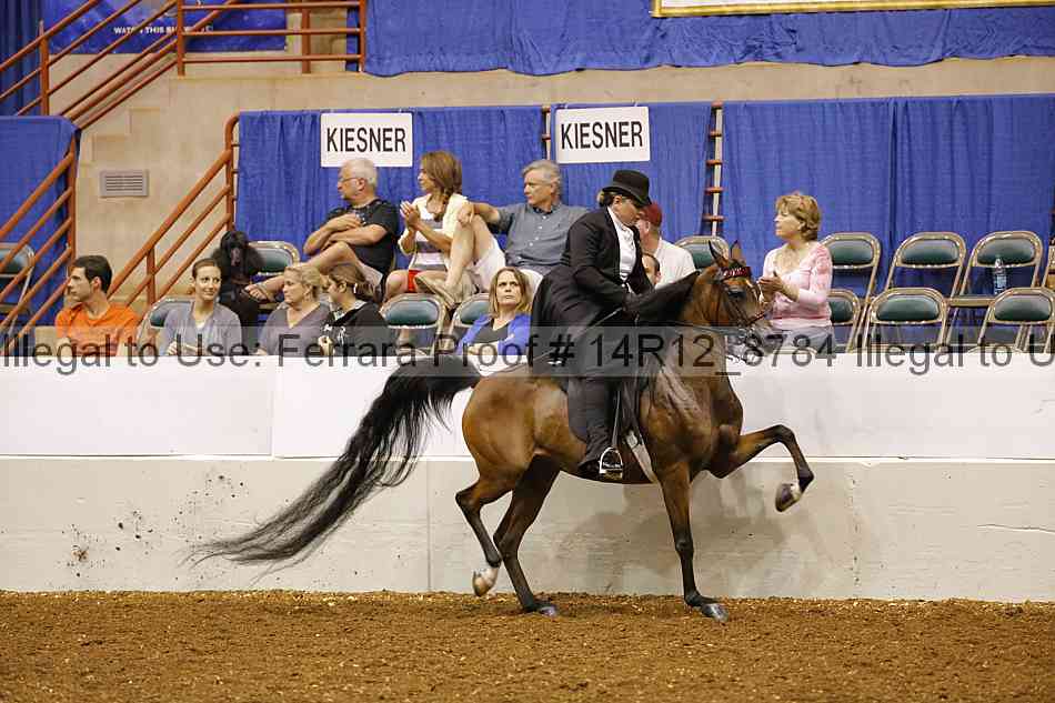 Proof 14r12_8784