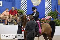 14r12_8787 proof