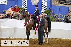 14r12_8788 proof