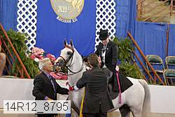 14r12_8795 proof