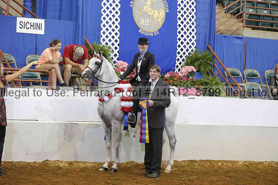 Proof 14r12_8799