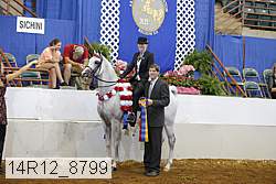 14r12_8799 proof