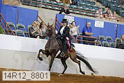 14r12_8801 proof