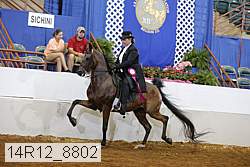 14r12_8802 proof