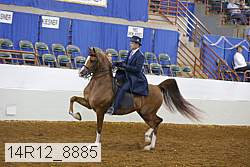 14r12_8885 proof