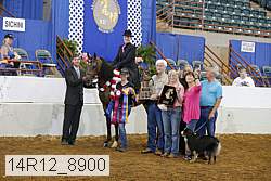 14r12_8900 proof