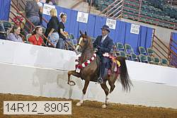 14r12_8905 proof