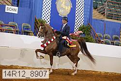 14r12_8907 proof