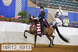 14r12_8913 proof