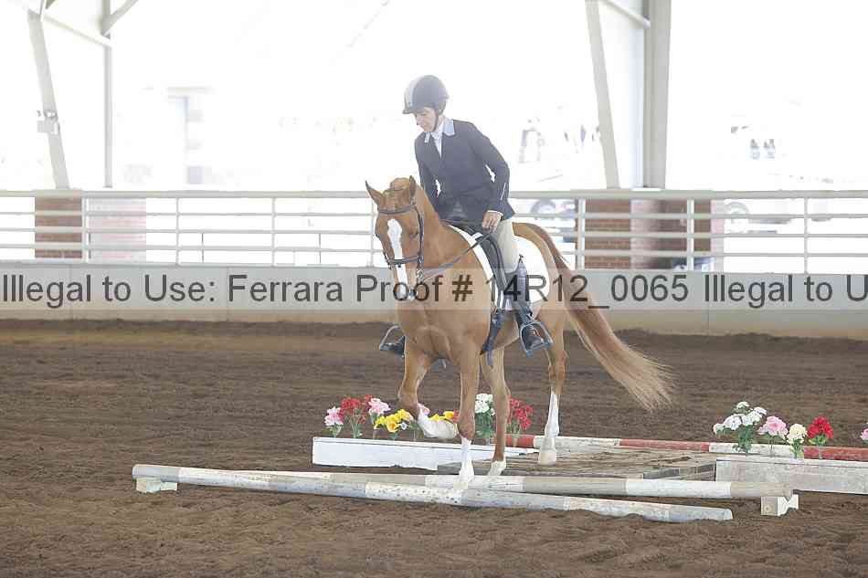 Proof 14r12_0065