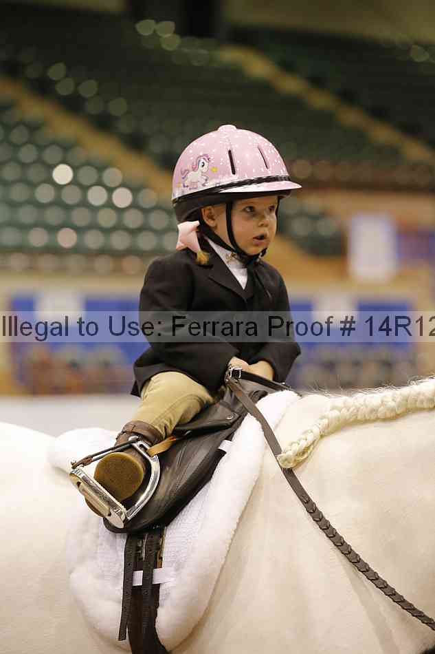 Proof 14r12_3594