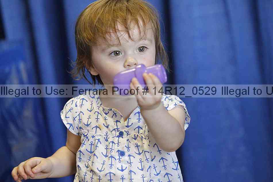 Proof 14r12_0529