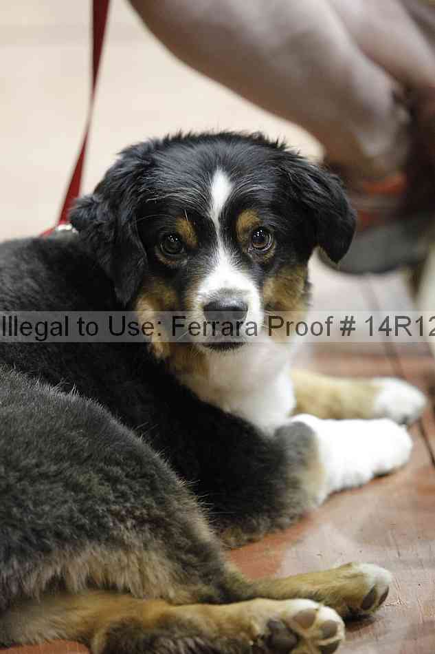 Proof 14r12_3531