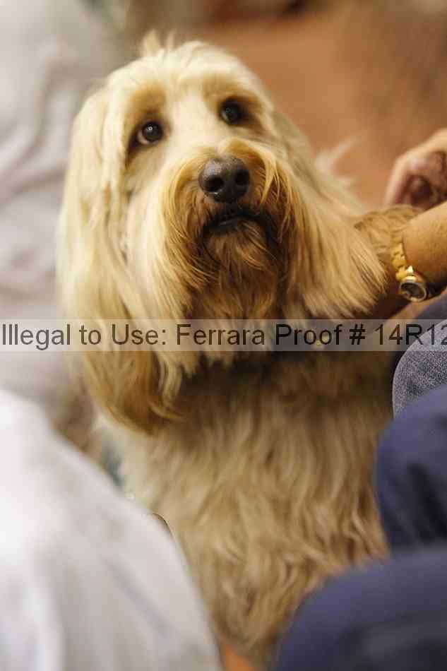 Proof 14r12_3534