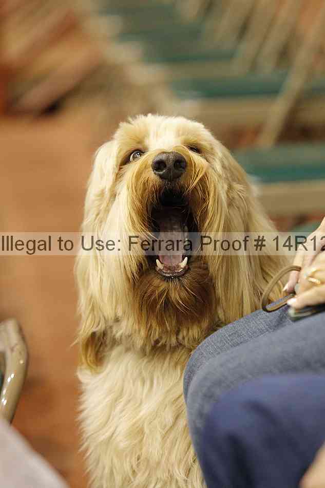 Proof 14r12_3535