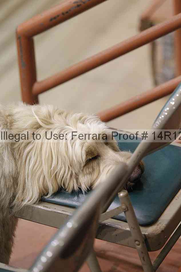 Proof 14r12_4392