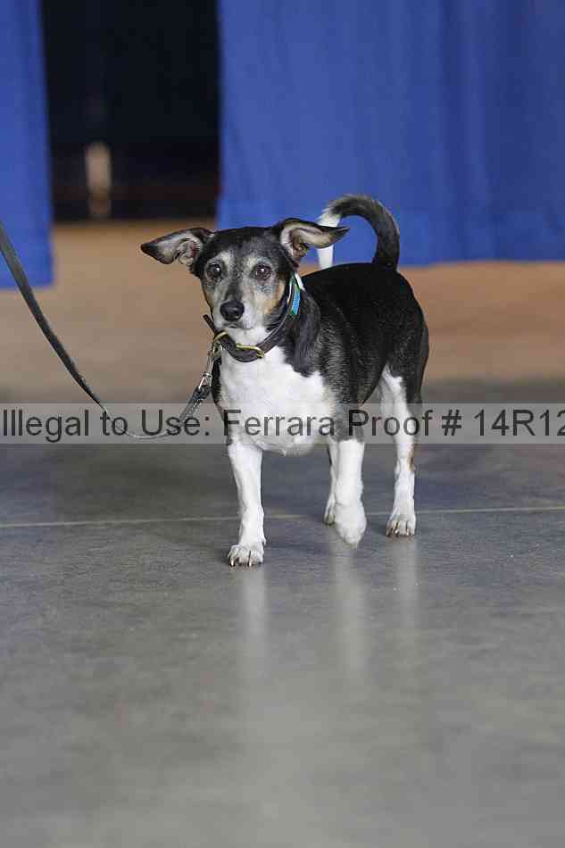 Proof 14r12_6393