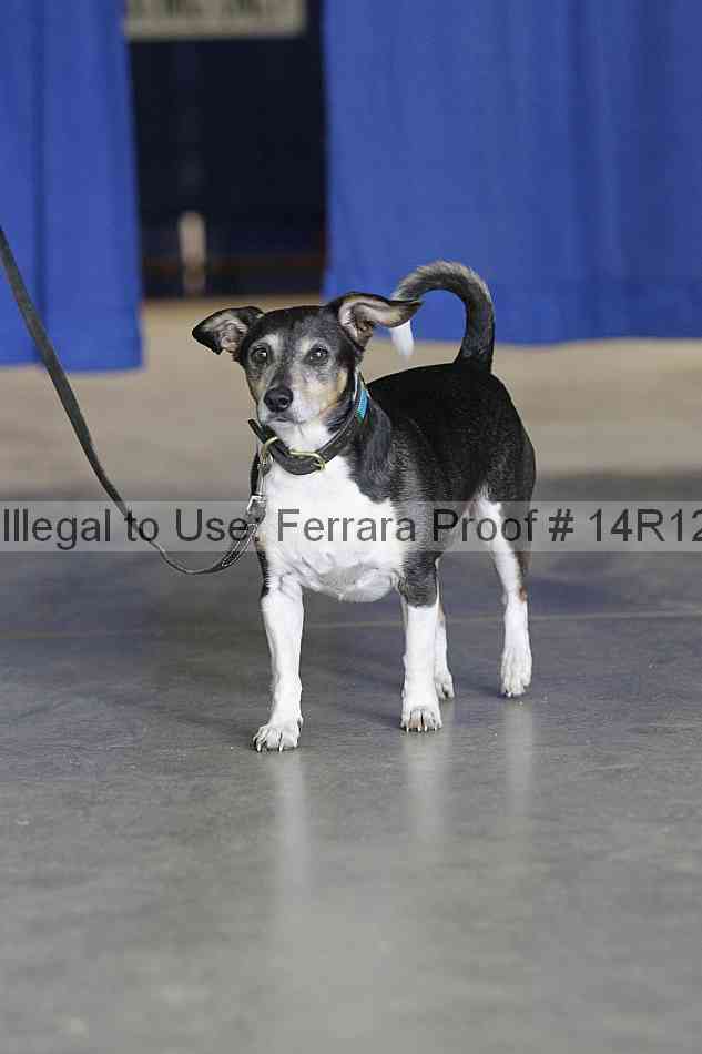 Proof 14r12_6394
