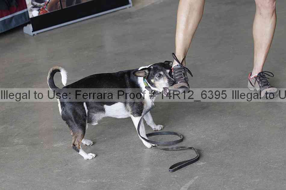 Proof 14r12_6395