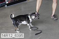 14r12_6395 proof