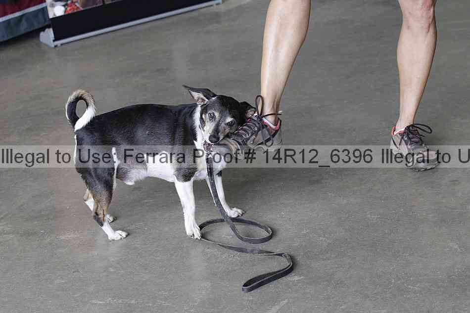 Proof 14r12_6396