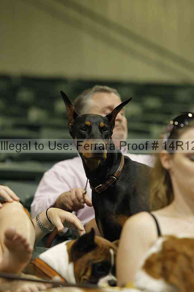 Proof 14r12_6399