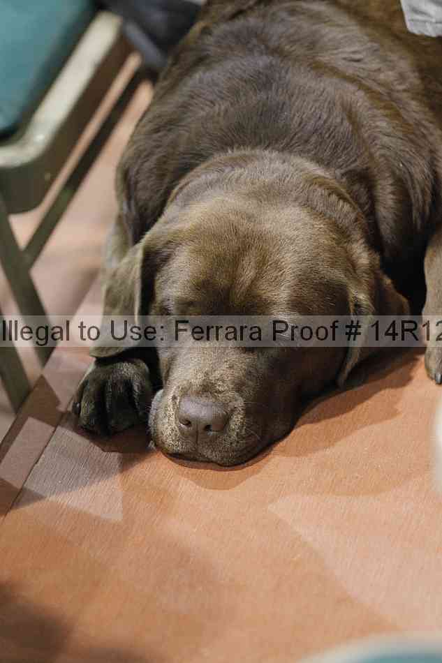 Proof 14r12_6407