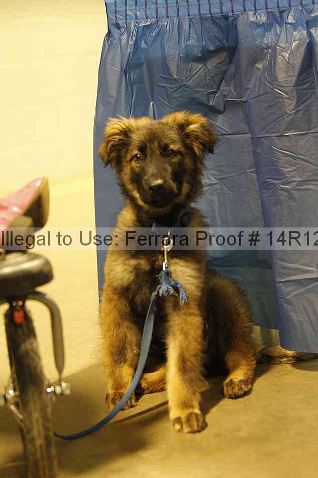 Proof 14r12_7385