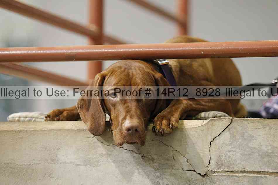 Proof 14r12_8928
