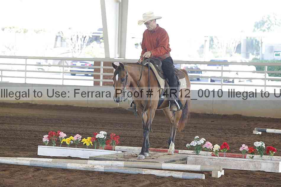 Proof 14r12_0010