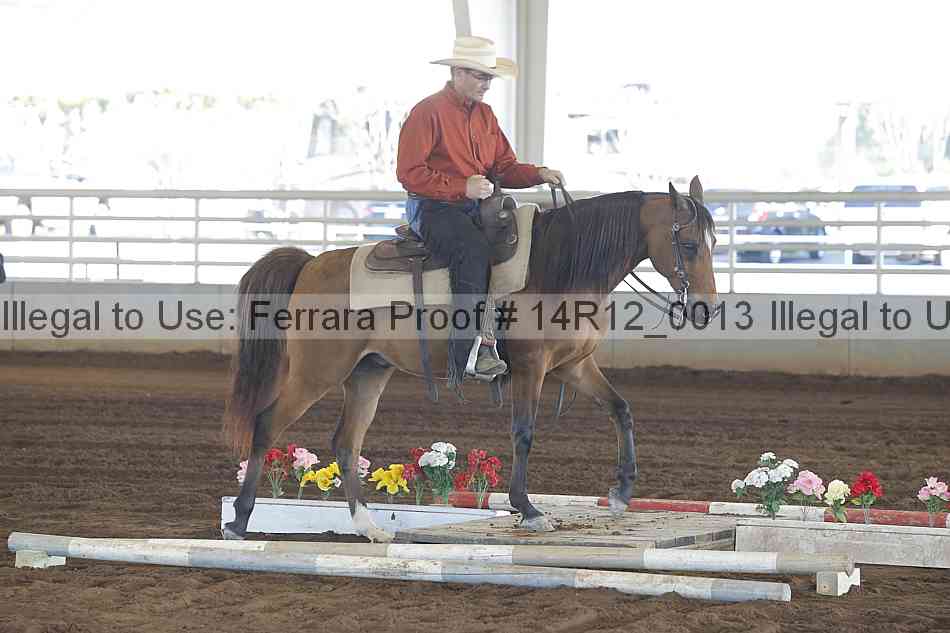 Proof 14r12_0013