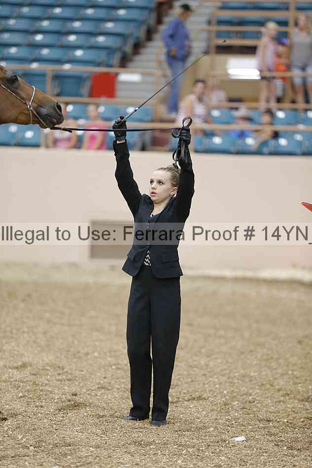 Proof 14yn_00011