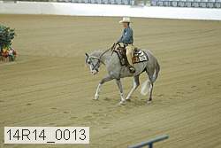 14r14_0013 proof