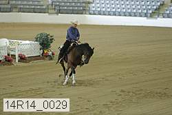14r14_0029 proof