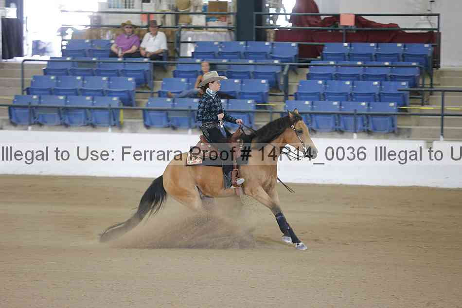 Proof 14r14_0036