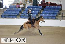 14r14_0036 proof