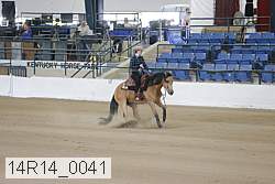 14r14_0041 proof