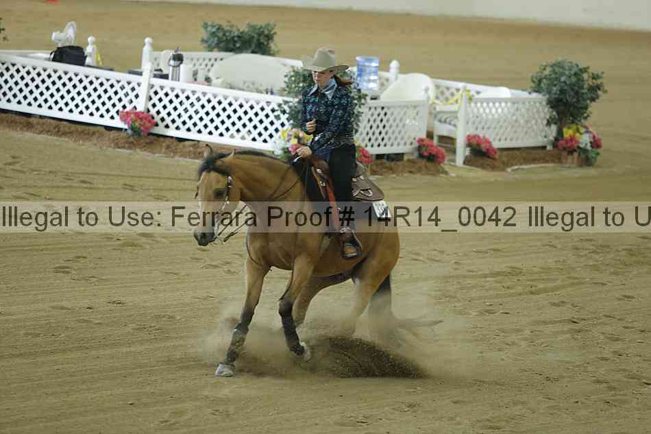 Proof 14r14_0042