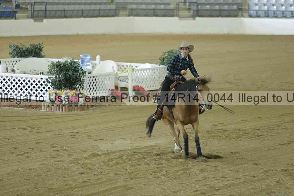 Proof 14r14_0044